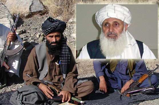 TTP political shura member asks Ibrahim for talks