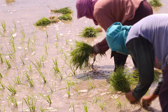 Poor left behind, jobs scarce as Philippines take off: experts 