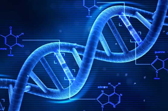 US panel debates three-parent embryos