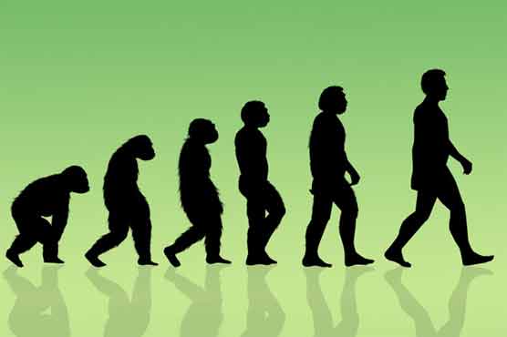 A third of Americans don't believe in evolution