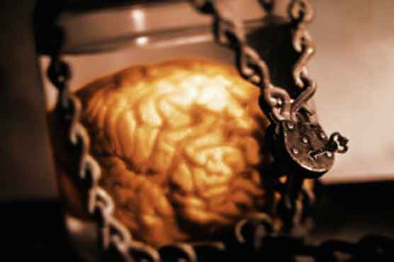 Man stole brains from museum, sold them on eBay:police