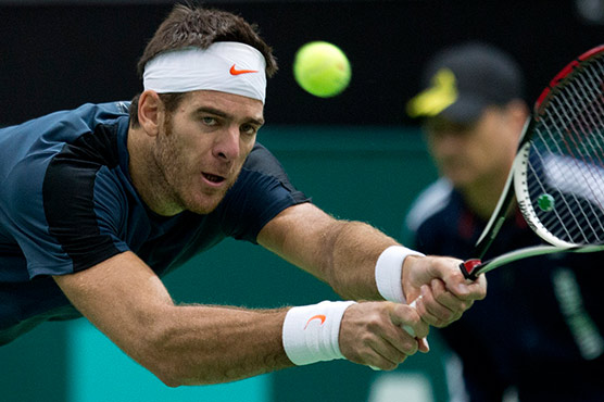 Tennis: Del Potro empowers Tomic in Sydney final