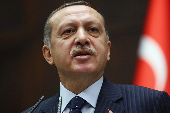 Tayyip Erdoga says ready to drop judicial bill with conditions