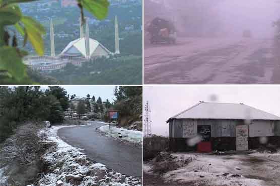 Dense fog blankets several parts of Punjab, affects flights schedule