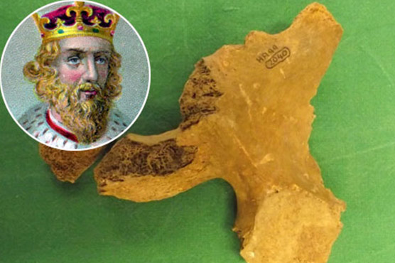 Bones in box could be those of King Alfred