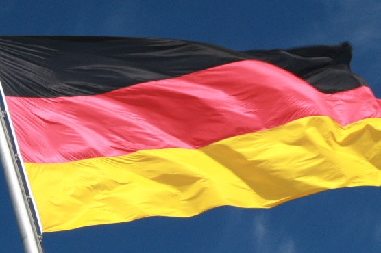 Germany IT watchdog knew for weeks of mass cyber theft