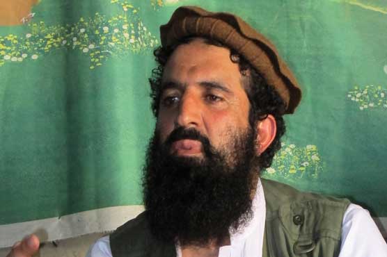 TTP reoffers dialogue, says it's govt's job to pave way