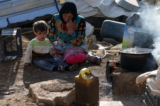 فاقہ زدہ شامی مہاجرین کتے اور بلیاں کھانے پر مجبور