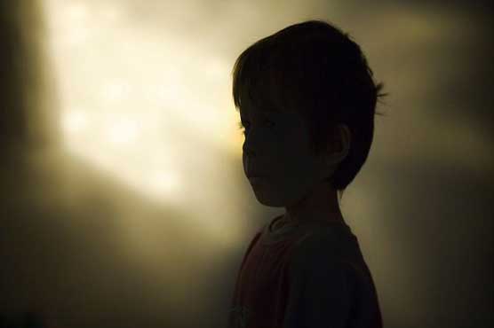 Dutchman jailed for webcam child abuse