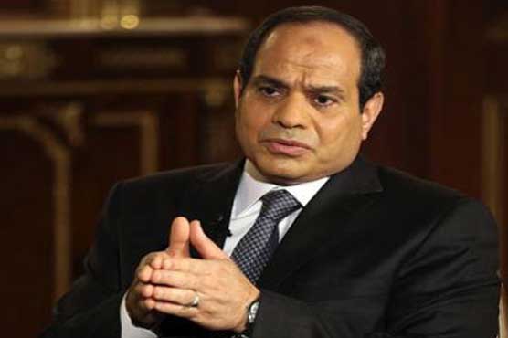 Egypt's Sisi slashes fuel subsidies in risky move