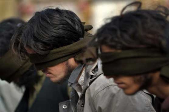 500 suspects arrested as result of crackdown in various cities