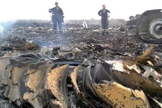 Malaysian jet with 295 passengers crashes in Ukraine