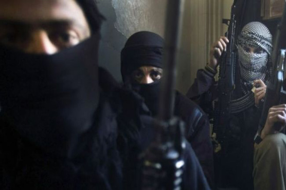 IS militants kill 115 in Syria gas field takeover: NGO