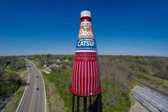Giant ketchup bottle up for sale in southern Illinois