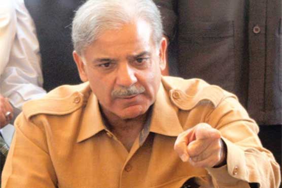Shahbaz Sharif submits affidavit before Model Town Inquiry Tribunal