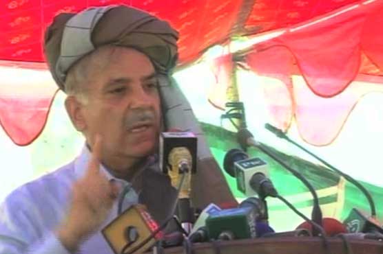 Pakistan cannot progress without peace: CM Shahbaz