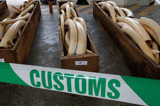 Kenya ivory smuggler suspects charged: court