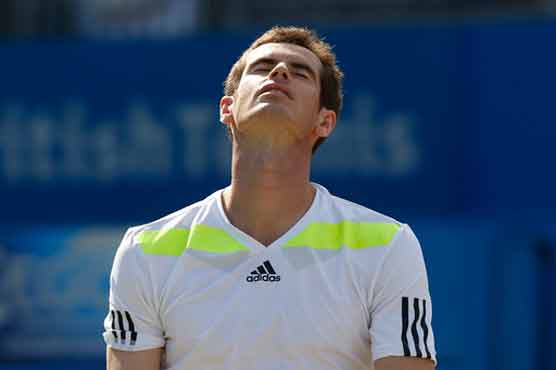 Tennis: Murray stunned by Stepanek at Queen's