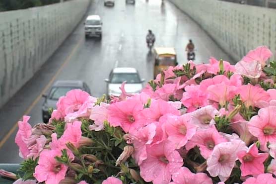 First pre-monsoon showers during next 48 hours: Met office
