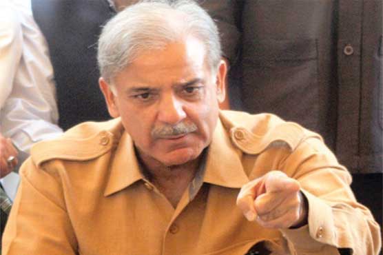 Lahore: CM Shahbaz vows to resign if held responsible for protestors' killings