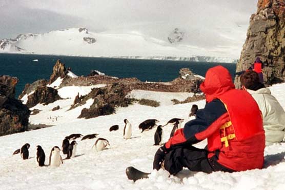 Scientists warn of tourism threat to Antarctica