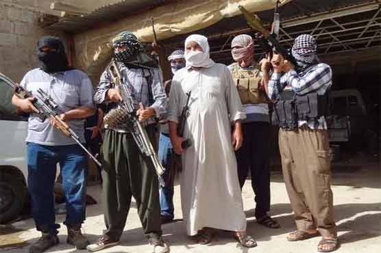 Militants kill 21 people in two Iraq towns: officials