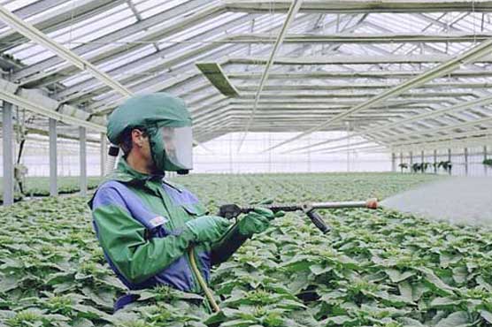 Study finds link between pesticides and autism