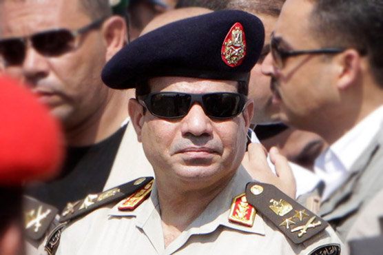Egypt: Sisi says 'can't ignore' calls to run for president