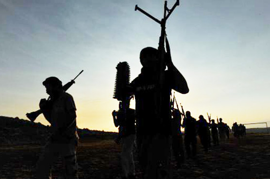 Saudi Arabia lists Muslim Brotherhood among 'terror' groups