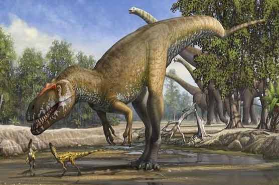 Dinosaur-killing impact acidified oceans: study