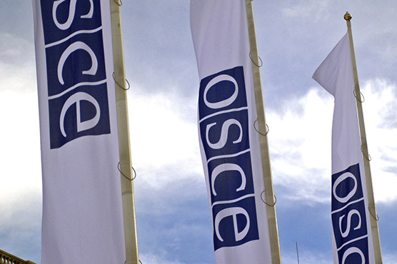 Russia urges OSCE to send observers to Crimea referendum