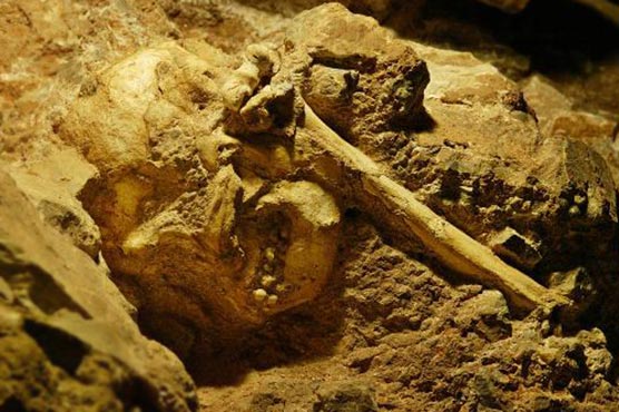 Little foot may have humans' forefather: study