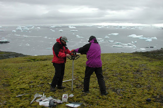 Antarctica moss returns to life after 1500 years frozen