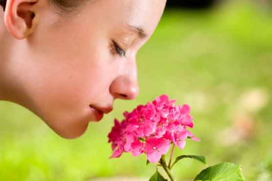 Humans can detect 1 trillion smells: study