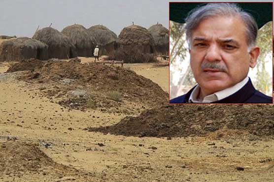 CM Shahbaz announces Rs 2.37 billion relief package for Cholistan 