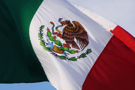 Seven men shot dead in northern Mexico 