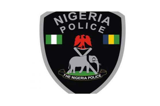 Nigerian police free pregnant girls in 'baby factory' raid 