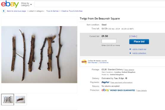 Six unique twigs are for sale on eBay