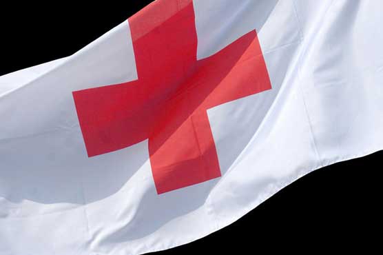 Red Cross staff detained in east Ukraine: rebel official