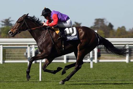 Double tragedy as Protectionist wins Melbourne Cup