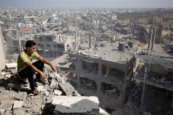 Israel committed war crimes in Gaza: Amnesty International