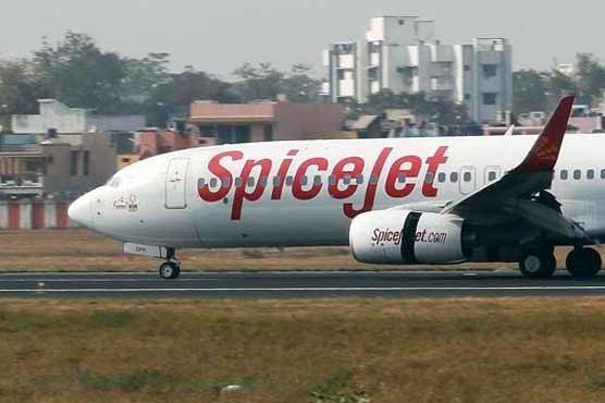 Indian plane hits stray buffalo during take-off