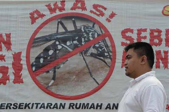 Dengue's spread flies under the radar amid Ebola scare 