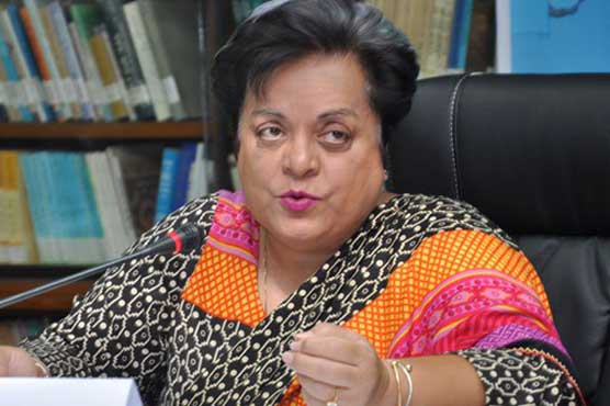 Pakistan's economy suffering due to govt's policies: Shireen Mazari