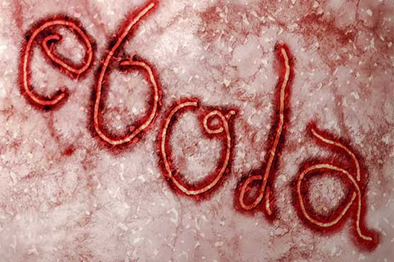 World's most powerful economies vowed to extinguish Ebola
