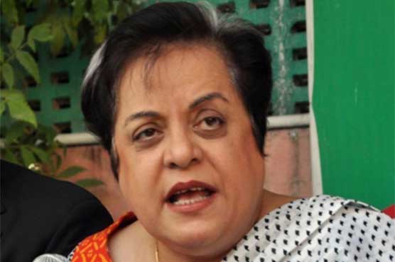 Backing militants is not PTI's culture: Shireen Mazari