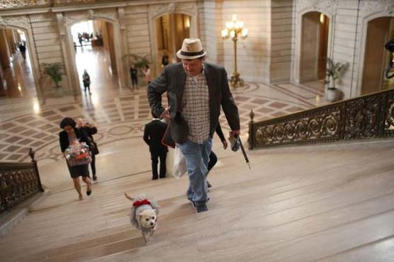 Dog has its day as mayor of San Francisco