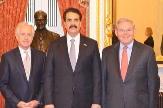 Army to ensure terrorists do not return or set up base on Pakistani soil: Gen Raheel