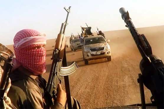 Up to 300 Swedes fighting with ISIS: Official