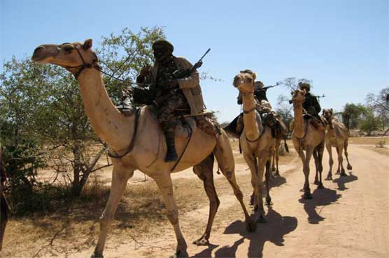 Gunmen on camels kill 15 in Darfur: local govt